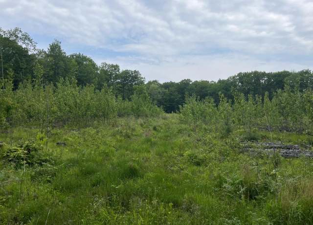 Property at W6418 Barker Rd, Amberg, WI 54102