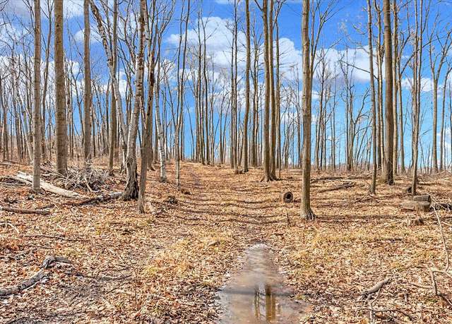 Property at Lt0 Little Elkhart Lake Rd, Elkhart Lake, WI 53020