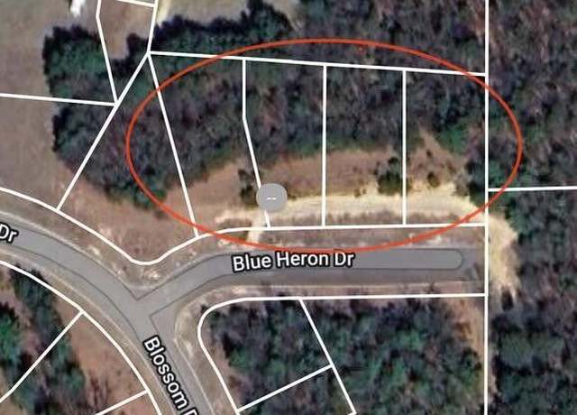 Property at Lt1 Blue Heron Dr, Warrens, WI 54666