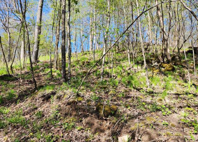 Property at 17.02 AC County Road P, Ontario, WI 54651
