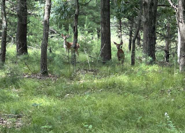 Property at Lt0 Shangrila Ln Unit (6 parcels), Wautoma, WI 54982