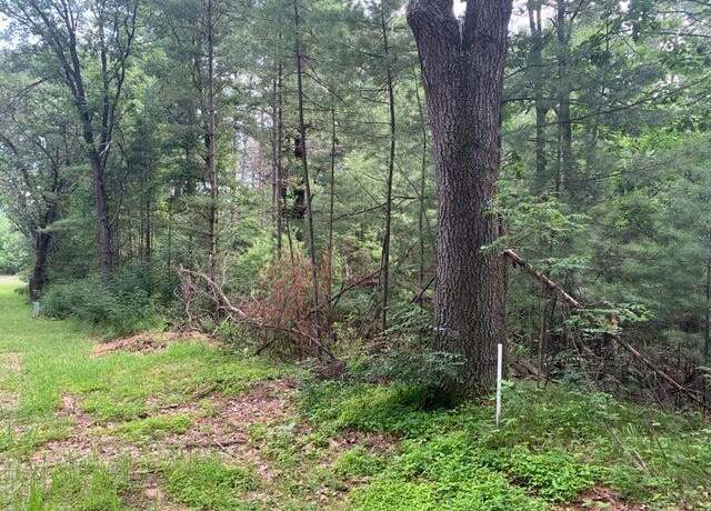 Property at Lot 20 3rd Ave, Westfield, WI 53964