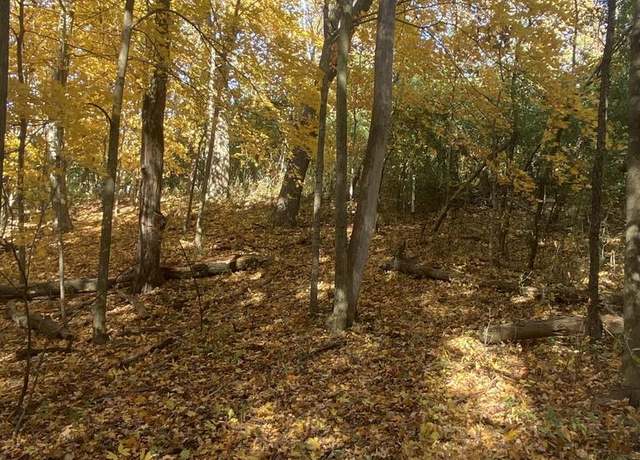 Property at Lt24 Oak Ridge Ct, Elkhorn, WI 53121