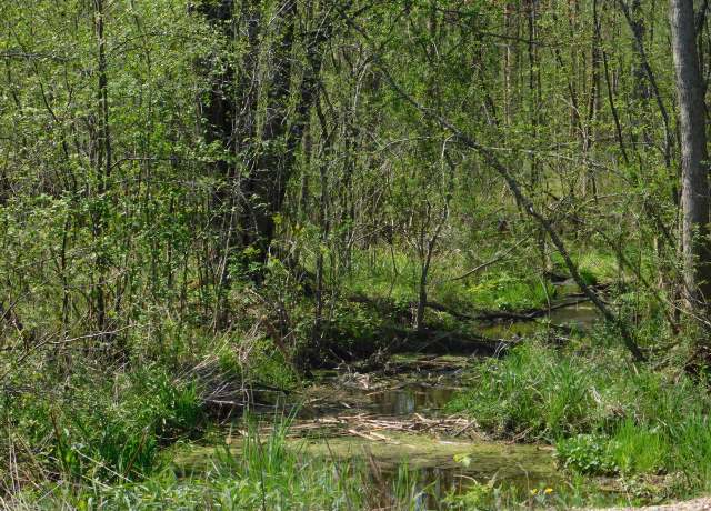 Property at Lt0 E Reed St, Wittenberg, WI 54499