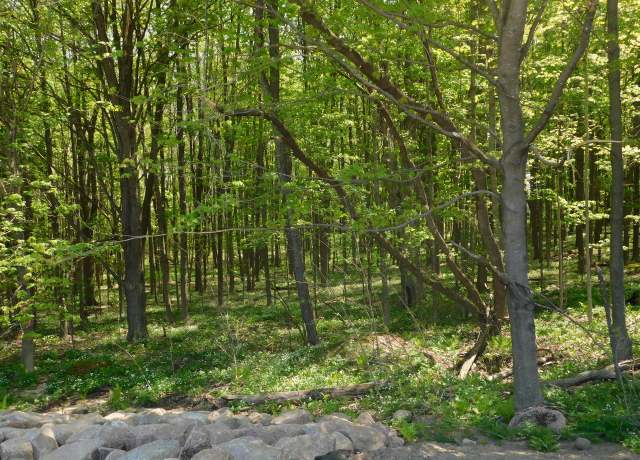 Property at Lt0 N Meisner St, Wittenberg, WI 54499