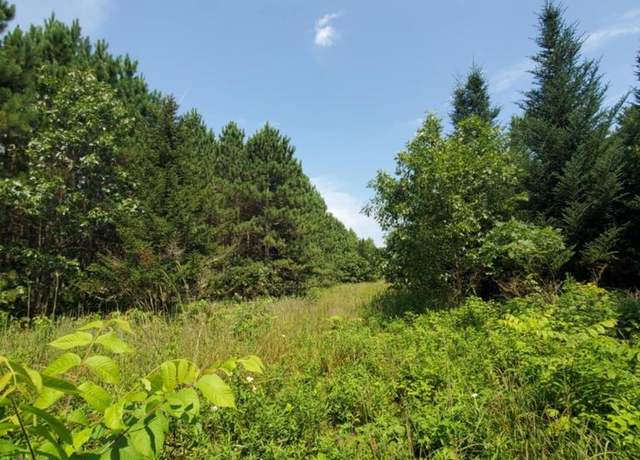Property at Lt0 Town Hall Rd, Wisconsin Dells, WI 53965