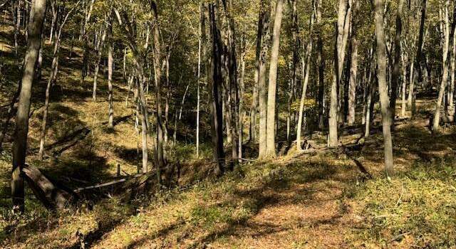 Photo of 18 Acres Mccarty Rd, Readstown, WI 54652