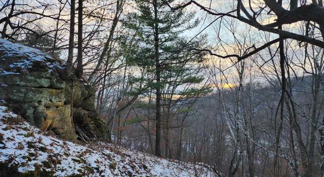 Photo of 0 Munson Rd, La Farge, WI 54639