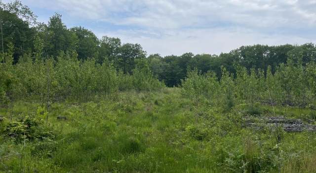 Photo of W6418 Barker Rd, Amberg, WI 54102