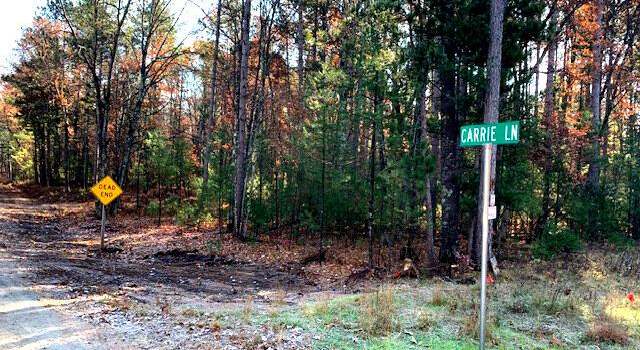 Photo of Lt3 Carrie Ln, Pound, WI 54161