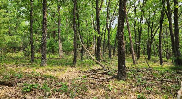 Photo of Lot 10 Jargon Ave, Sparta, WI 54656