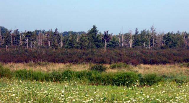 Photo of Lt11 Tamarack Rd, Oconomowoc, WI 53066