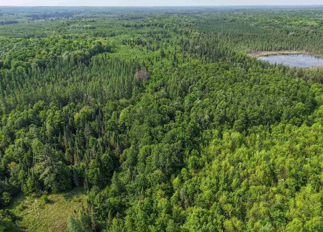 Property at 121.49 Acres Forest Road 602, Butternut, WI 54514