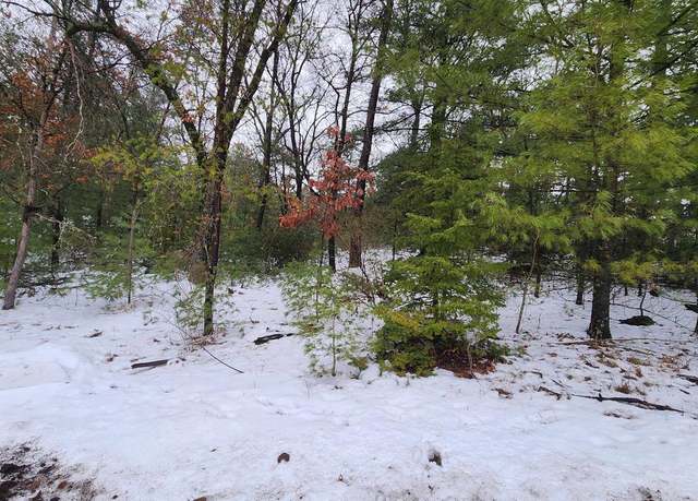 Property at Lots 20-21 Leona St, Friendship, WI 53934