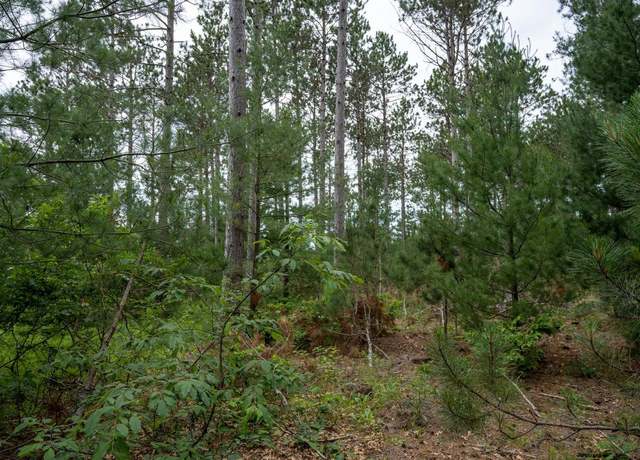 Property at Lot 1 Bollig Ct, Nekoosa, WI 54457