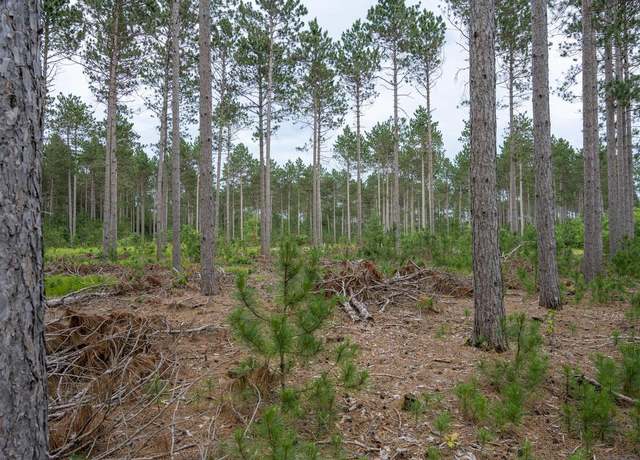 Property at Lot 5 Bollig Ct, Nekoosa, WI 54457