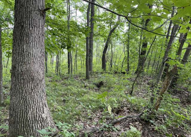Property at Lot 1029 Blue Ridge Dr, La Valle, WI 53941