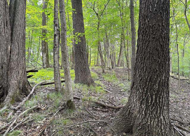 Property at 37.5 +/- acres South Sleepy Hollow Rd, Gays Mills, WI 54631