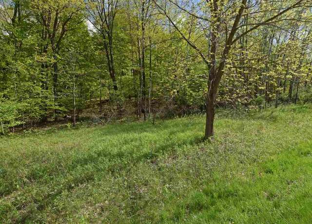 Property at L169 Black Forest Dr, La Valle, WI 53941