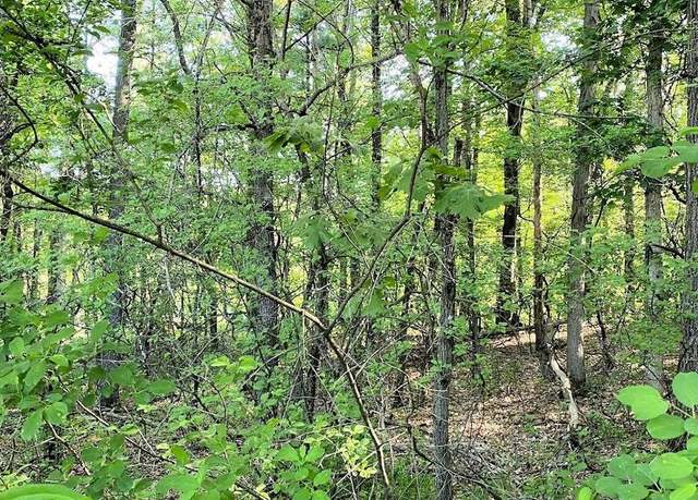 Property at L11 Orrin Anderson Pass, Wisconsin Dells, WI 53965