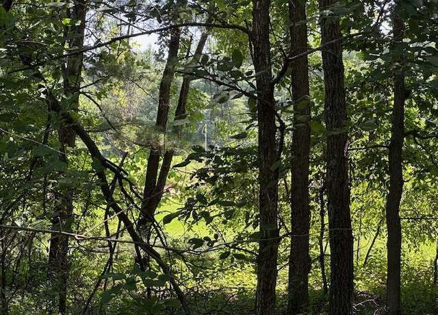 Property at lot 13 W 19th Ln, Arkdale, WI 54613