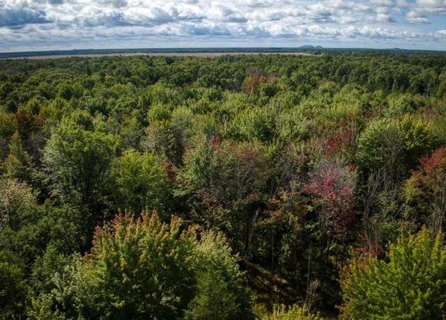 Property at 10.32 Acres Bighorn Ave, Arkdale, WI 54613