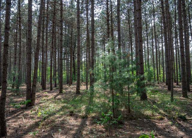 Property at W4250 Mays Point Rd, Necedah, WI 54646