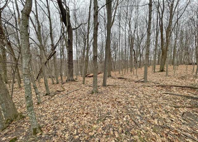 Property at L150 Black Forest Pine Cone Ln, La Valle, WI 53941
