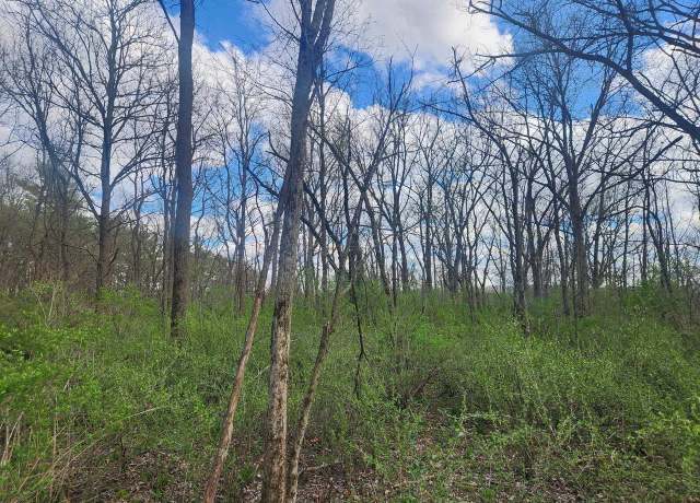 Property at Lot 1 Elizabeth St, Muscoda, WI 53573