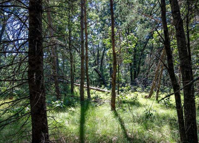Property at 10.42 acres Kelsey Ln, Lyndon Station, WI 53944