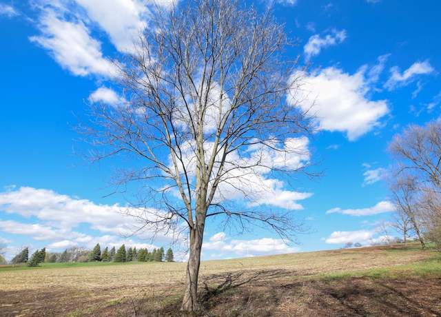 Property at Lot 2 Monroe-Sylvester Rd, Monroe, WI 53566