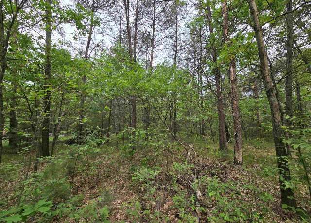 Property at Lot 1 16th Ave, Necedah, WI 54646