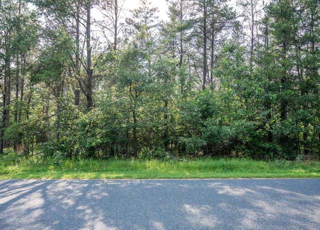 Property at Lot 189 & 190 Mallard Dr, New Lisbon, WI 53950