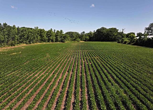 Property at 9.93 M/L Acres Highway 51, Stoughton, WI 53589