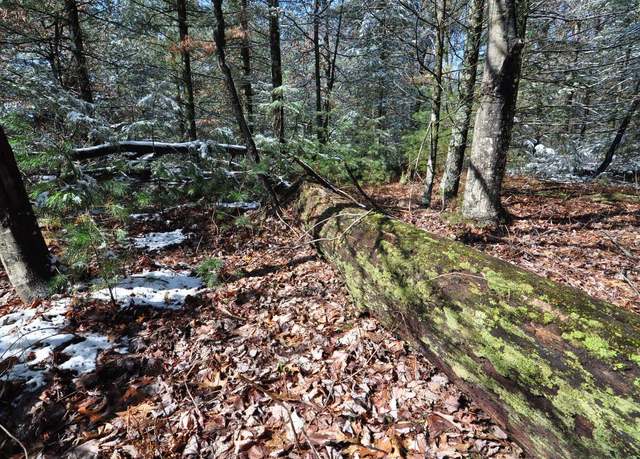 Property at 3.95ac County Road Z, Arkdale, WI 54613