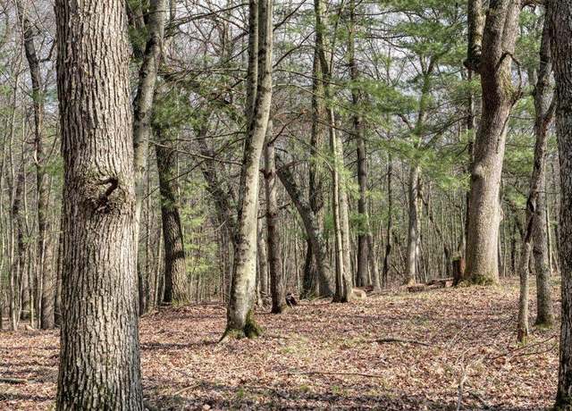 Property at 25.66 Acres 51st St, Mauston, WI 53948
