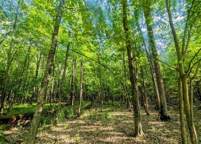 Property at 0 S Badger Ln, Arkdale, WI 54613