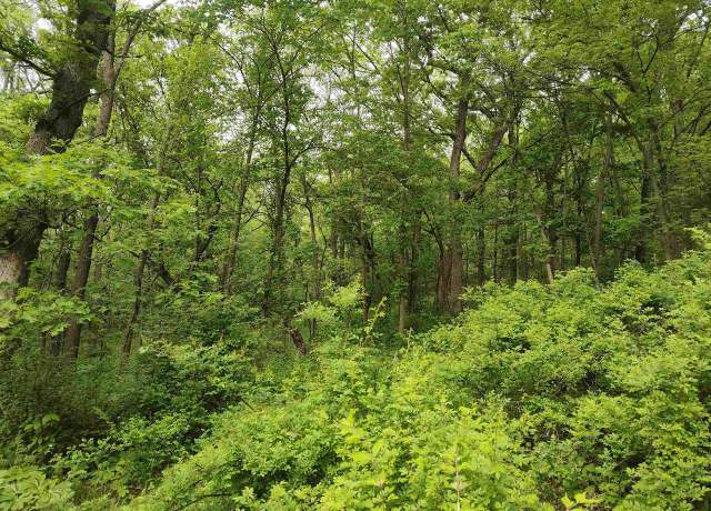Property at 14768 Rail Hollow Rd Rd, Woodman, WI 53827