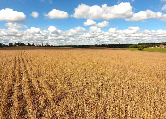Property at 18.7+/- acres Fleming Rd, Gays Mills, WI 54631