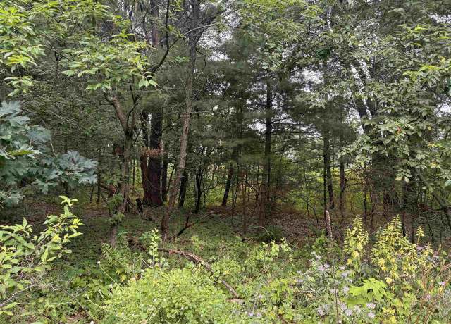Property at 0.46 AC Busse Ln, Lake Delton, WI 53940