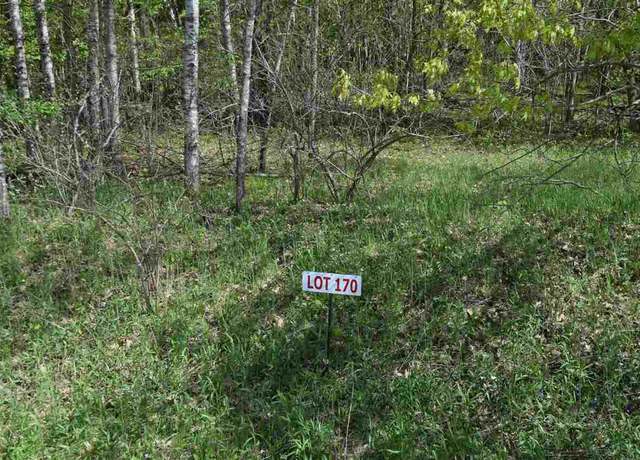 Property at Lt 170 Black Forest Dr, La Valle, WI 53941