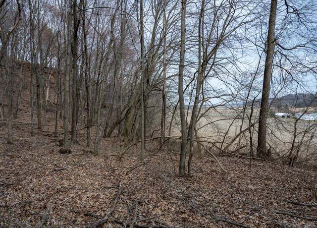 Property at 47.3 AC County Road G, Mauston, WI 53948