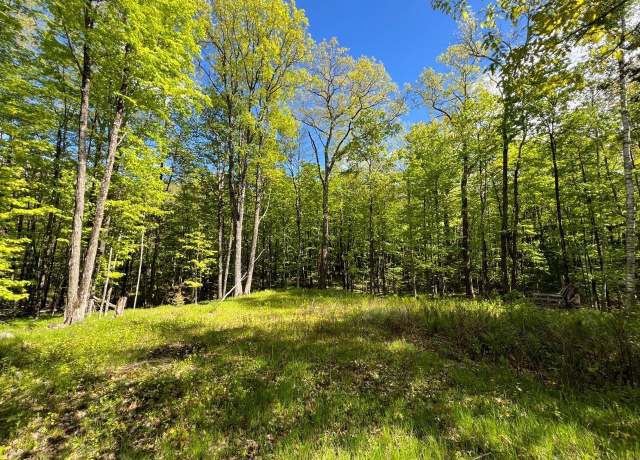 Property at 19.95 Acres Old Elcho Rd, Other, WI 54463