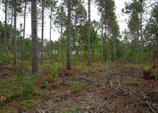 Property at Lot 2 Bollig Ct, Nekoosa, WI 54457