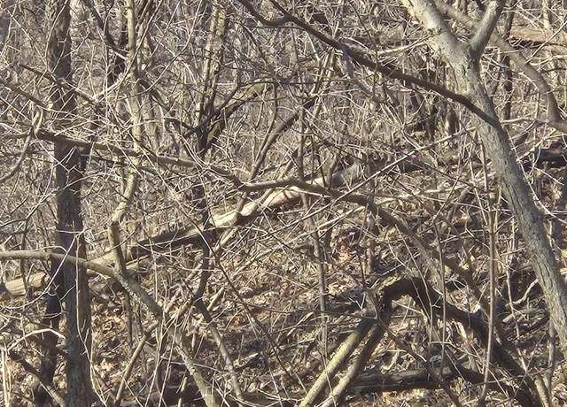 Property at Parcel 534.H Tomlinson Rd, Poynette, WI 53955