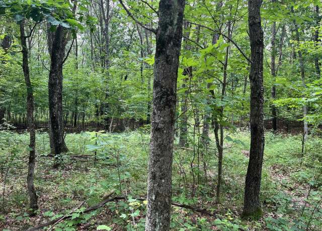 Property at 10 Acres 6th Ave, Grand Marsh, WI 53936