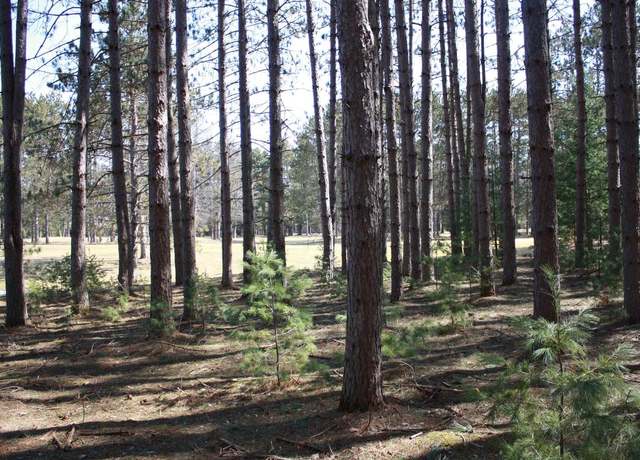 Property at On Pine Grove Cir, Minocqua, WI 54548