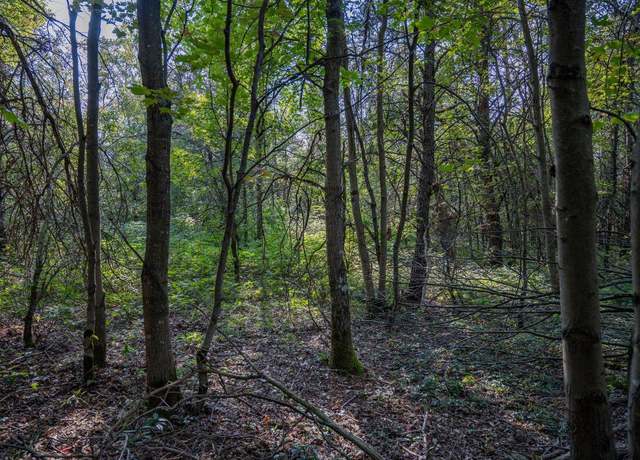 Property at Lot 4 20th St, Necedah, WI 54646