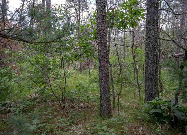 Property at N8275 Woodland Trl, New Lisbon, WI 53950
