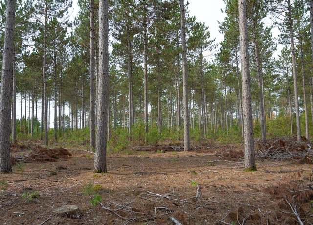 Property at Lot 4 Bollig Ct, Nekoosa, WI 54457
